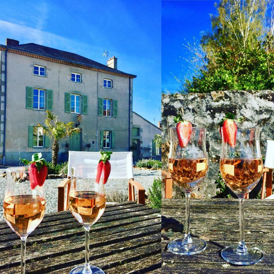 Maison Hirondelles Hotes Mezieres-sur-Issoire Экстерьер фото